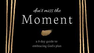 Don't Miss the Moment: A 5 Day Guide to Embracing God's Plan