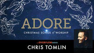 Chris Tomlin - Adore - The Overflow Devo