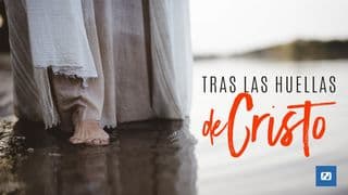 Tras Las Huellas De Cristo