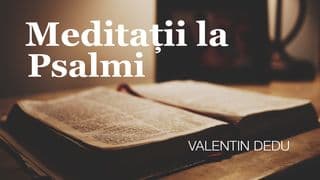 Meditații La Psalmi