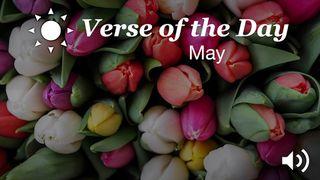 YouVersion Verse Of The Day: May