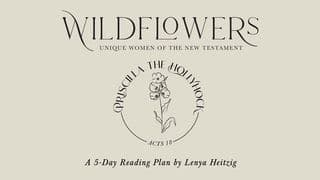 Wildflowers Week Four | Priscilla the Hollyhock