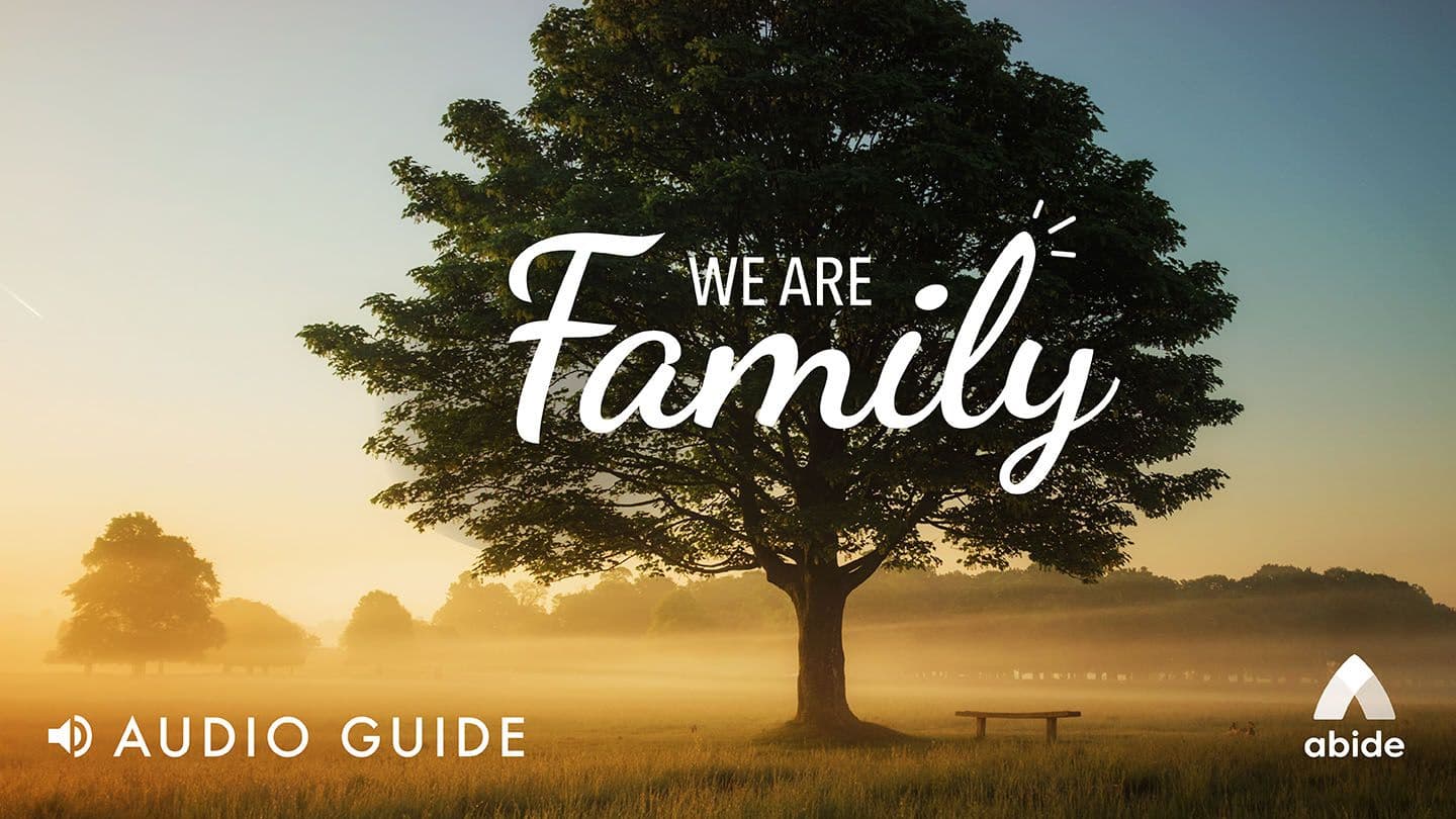 We Are Family Genesis 48:11-16 King James Version