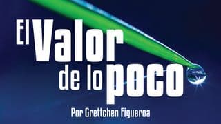 El Valor De Lo Poco