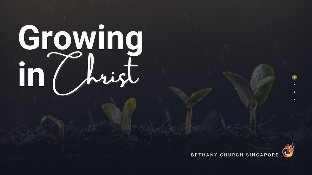 Growing in Christ