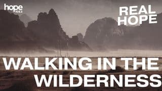 Walking in the Wilderness