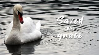 Saved by Grace