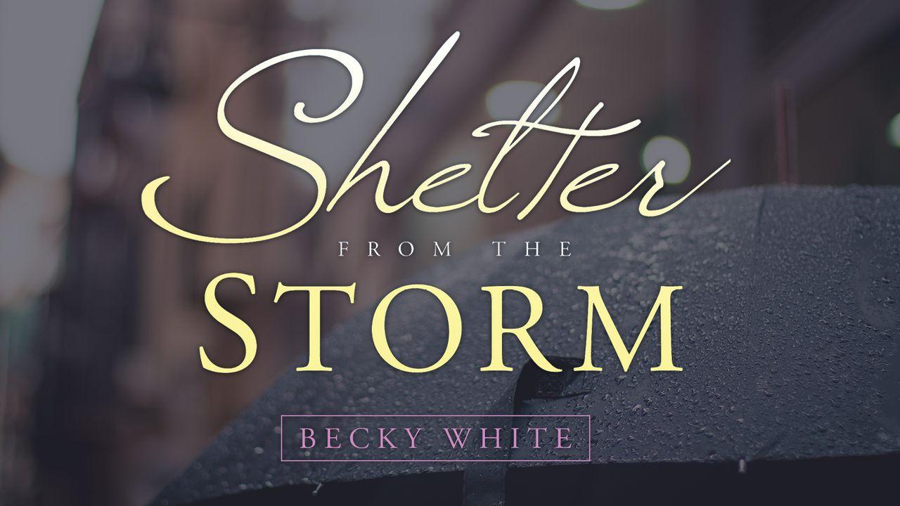 Shelter From The Storm