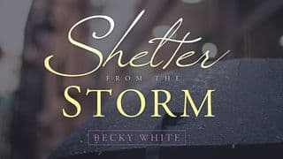 Shelter From The Storm
