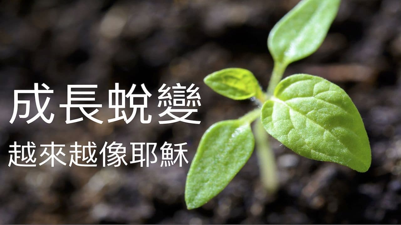 成長蛻變:越來越像耶穌