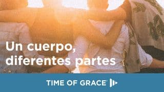 Un cuerpo, diferentes partes