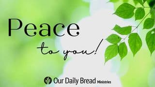 Peace to You!