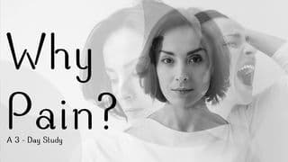 Why Pain?