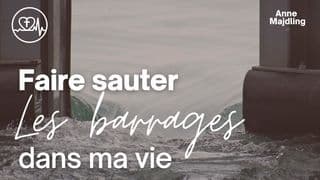 Faire Sauter Les Barrages Dans Ma Vie