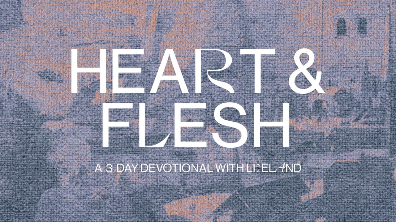 Heart & Flesh