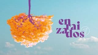 Enraizados