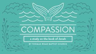 Compassion: A Study in Jonah