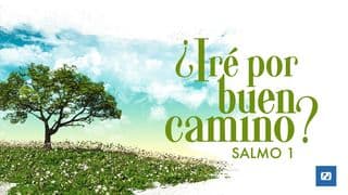 ¿Iré Por Buen Camino? Salmo 1