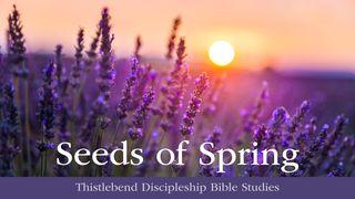 Llavors de primavera: El viatge de 40 dies d'una dona