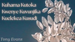 Kuhama Kutoka Kwenye Kuvunjika Kuelekea Kusudi