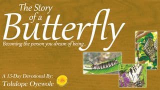 Becoming Your Dream