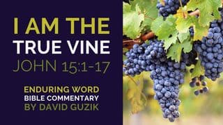 I Am the True Vine: Bible Commentary on John 15:1-17