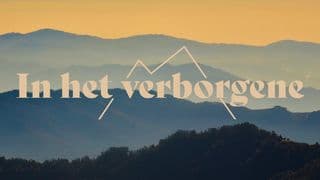 In het verborgene