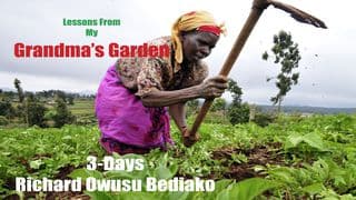 Lessons From My Grandma's Garden