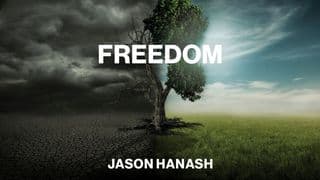 Freedom