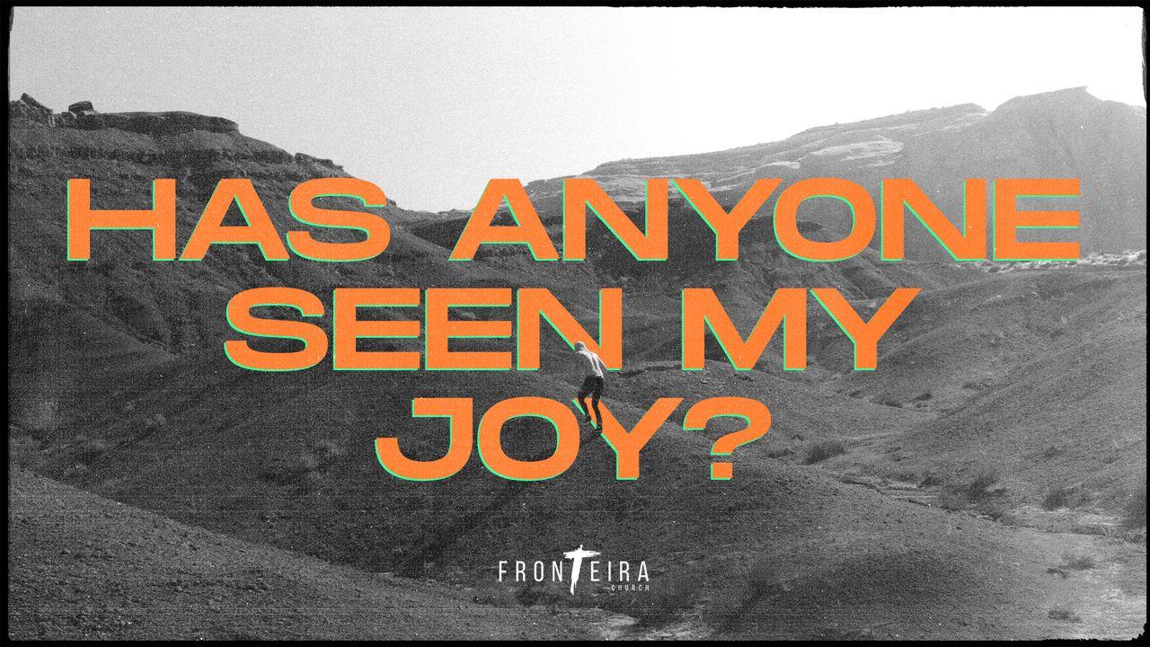 Has Anyone Seen My Joy?