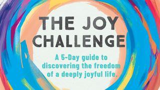 The Joy Challenge From Randy Frazee