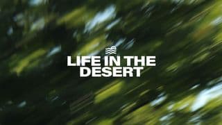 Life in the Desert
