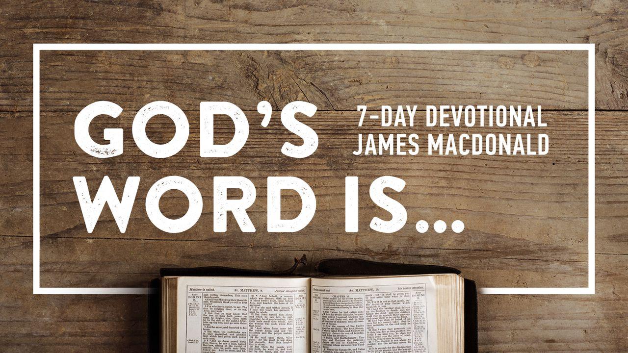 What The Bible Promises To Do