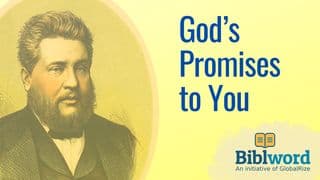 God's Promises to You