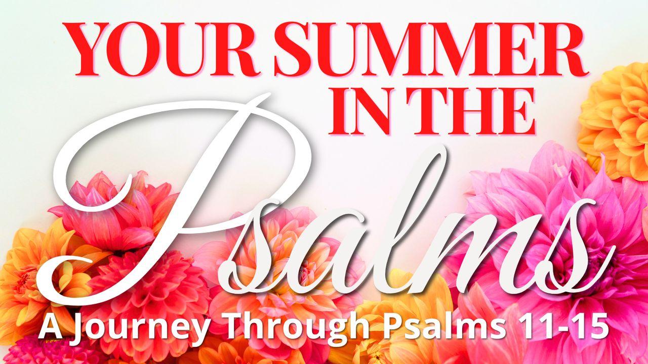 Psalms 11-15: Your Summer in the Psalms