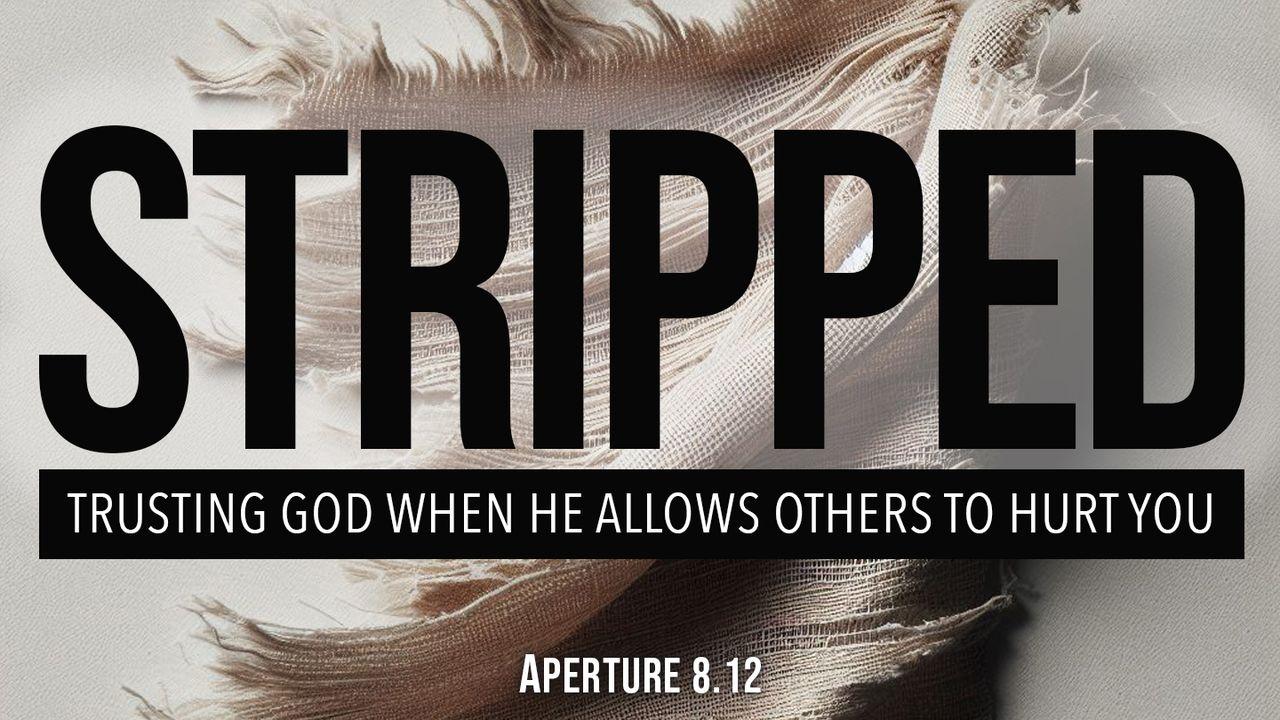 Stripped: Trusting God When He Allows Others to Hurt You