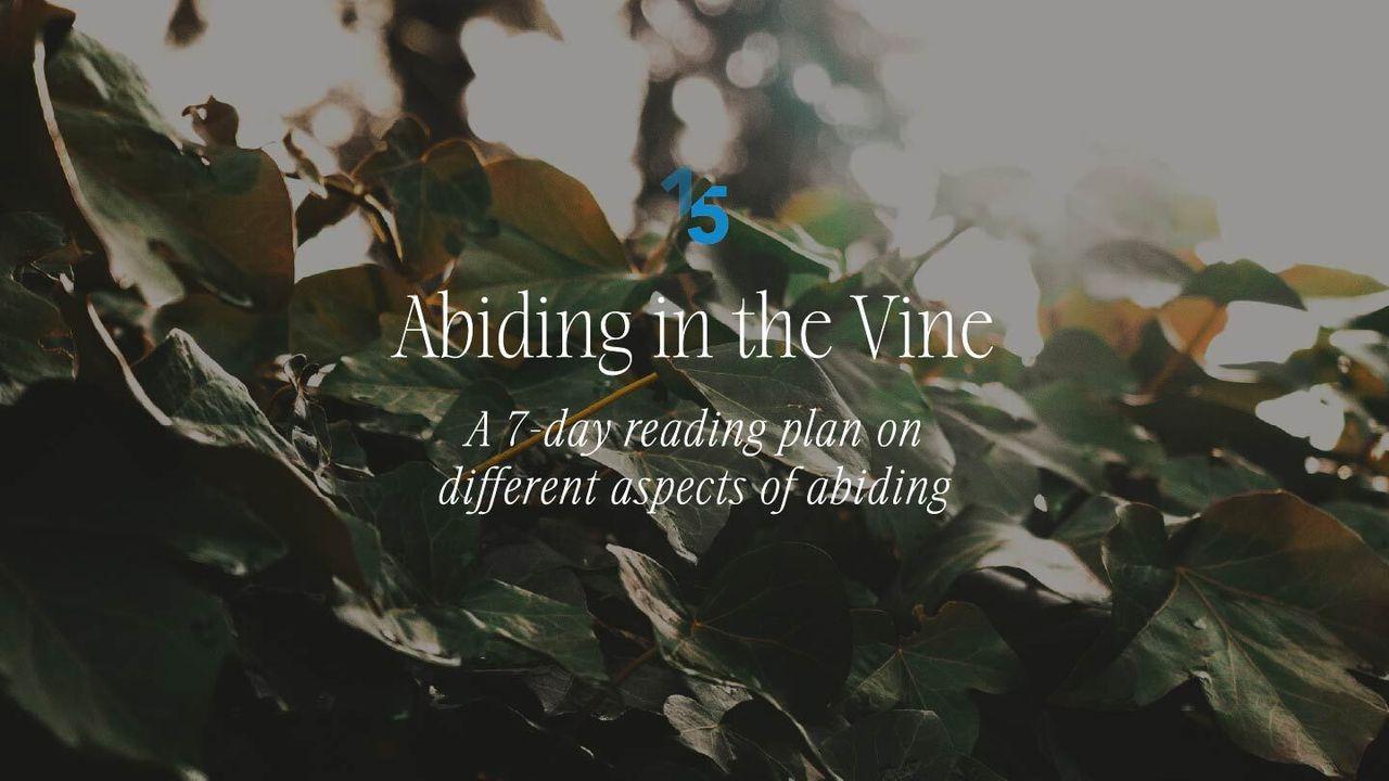 Abiding in the Vine