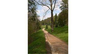 The Road Home: Reflections of a Prodigal