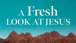 A Fresh Look at Jesus
