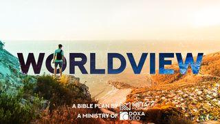 Worldview | Metamorpho