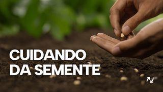 Cuidando da semente