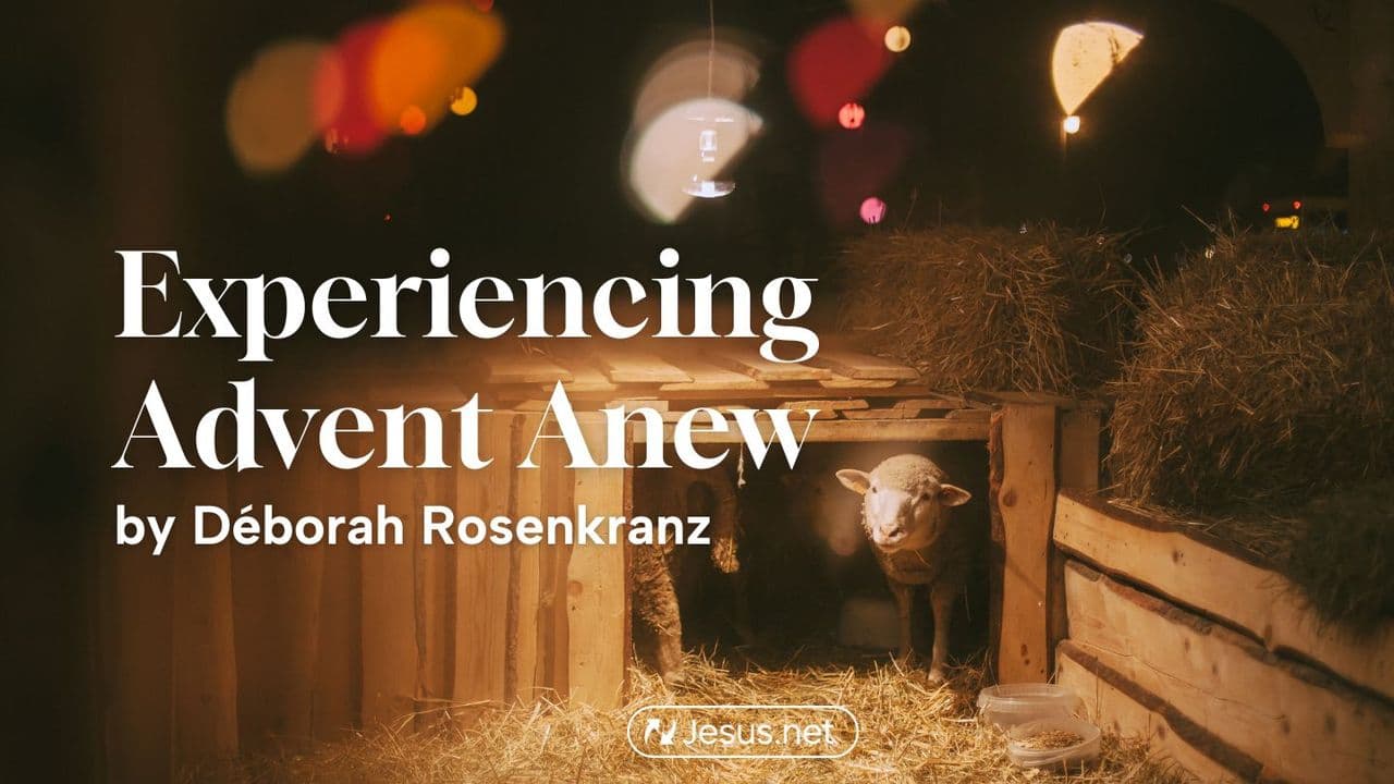 Experiencing Advent Anew