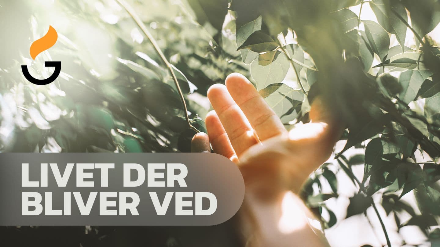 Livet der bliver ved Yon 2:7-8 Got Weng Abem