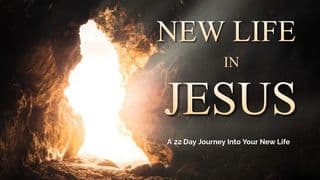 Born Again: A 22 Day Journey Into Your New Life