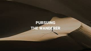 Pursuing the Wanderer
