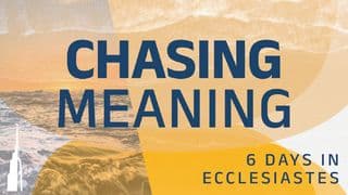 Chasing Meaning